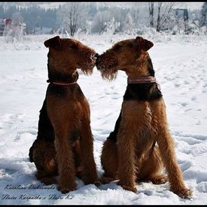 Meet your Posher, Jon